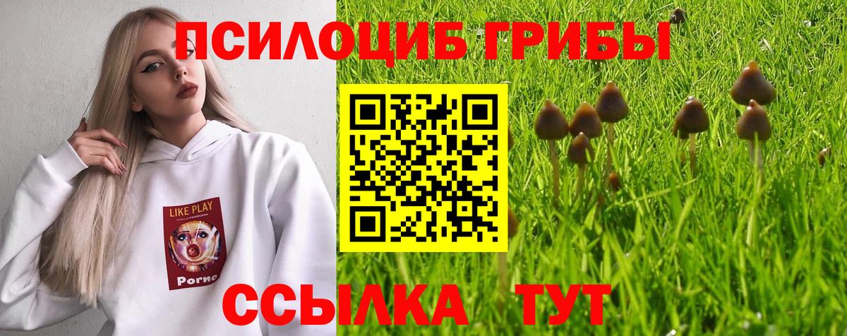 Новодвинск  Псилоцибиновые грибы прущие грибы  Псилоцибиновые грибы MAGIC MUSHROOMS  Вход с VPN 