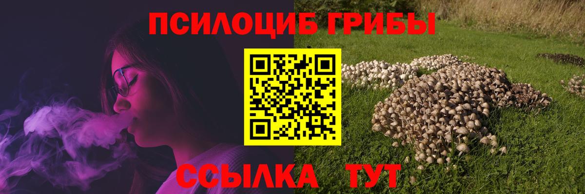 Псилоцибиновые грибы Magic Shrooms Новодвинск
