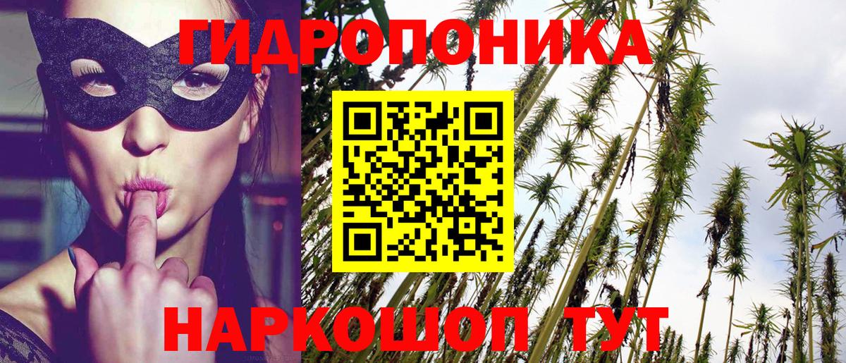 Шишки марихуана планчик  Бошки Шишки сатива  Вход с VPN  Новодвинск  Марихуана сатива 